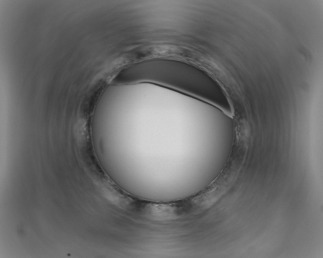 X0000110880327200906180950