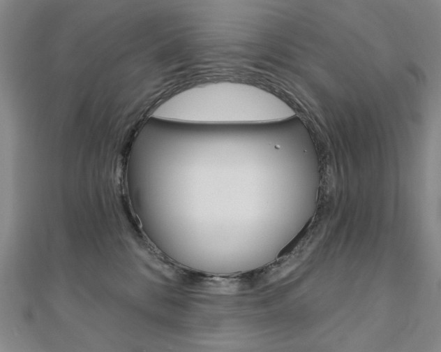 X0000110880328200906180950