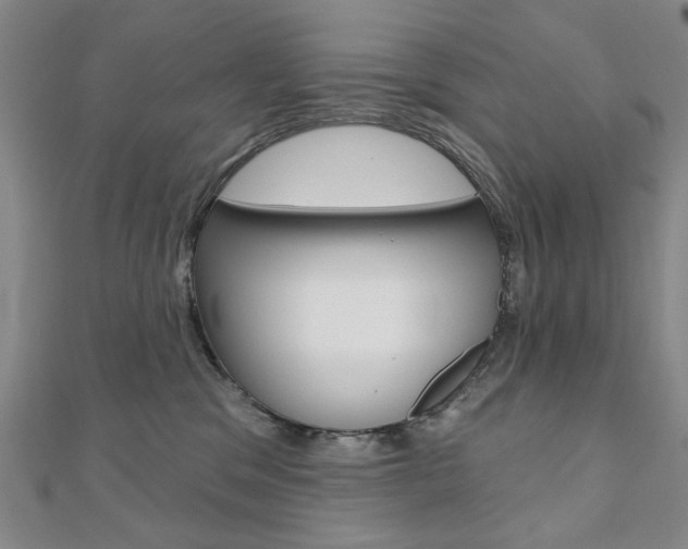 X0000110880329200906180950
