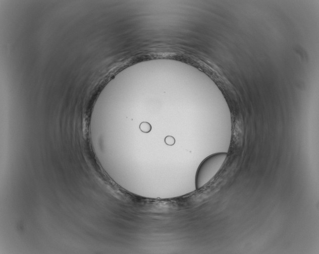 X0000110880330200906180950