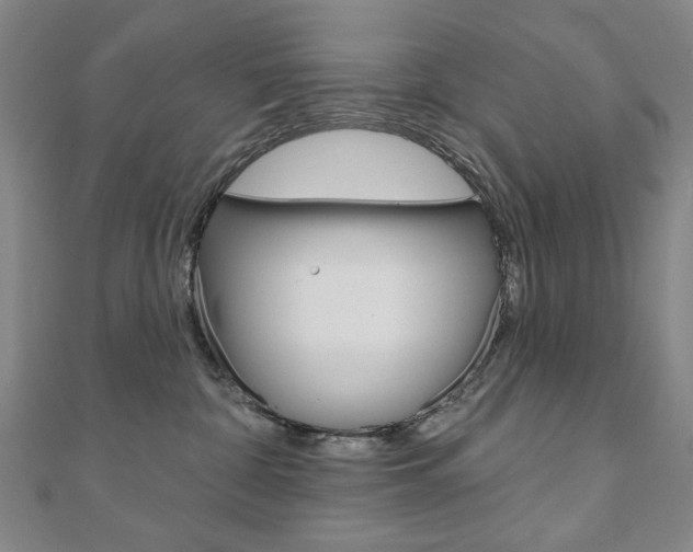 X0000110880332200906180950