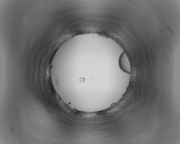 X0000110880334200906180950