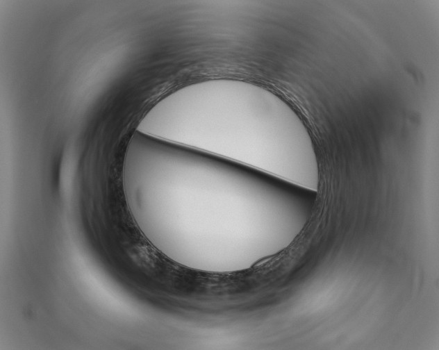 X0000110880335200906180950