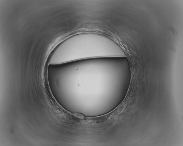 X0000110880340200906180949