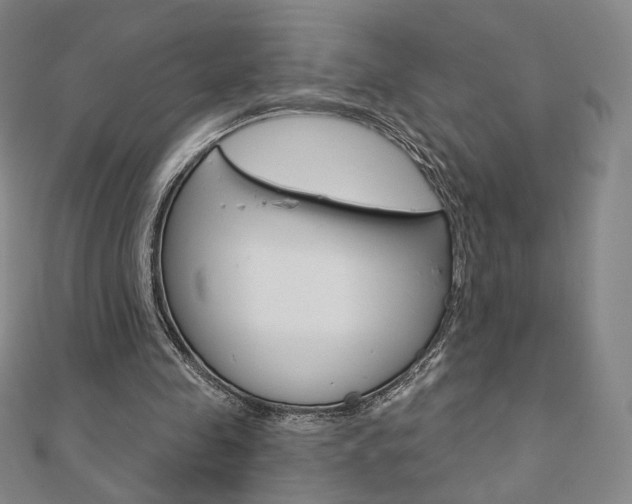 X0000110880341200906180949
