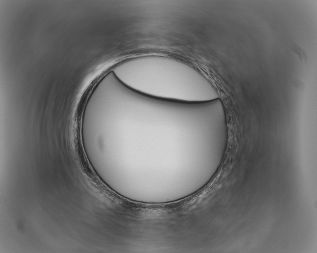 X0000110880342200906180949