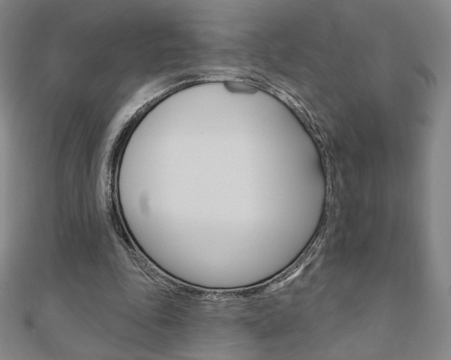 X0000110880343200906180949