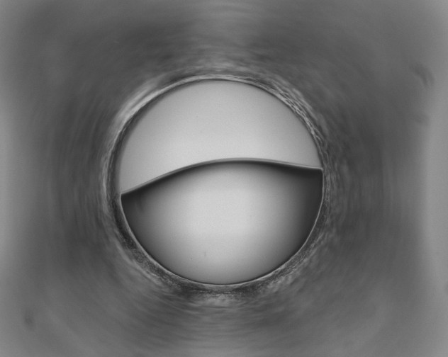 X0000110880344200906180949