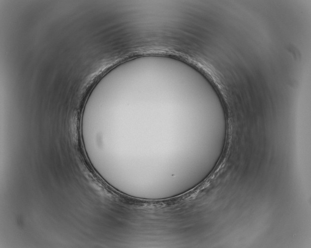 X0000110880345200906180949