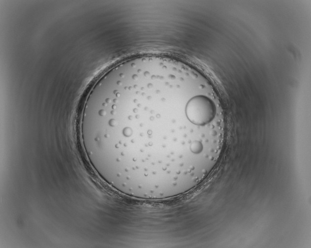 X0000110880346200906180949