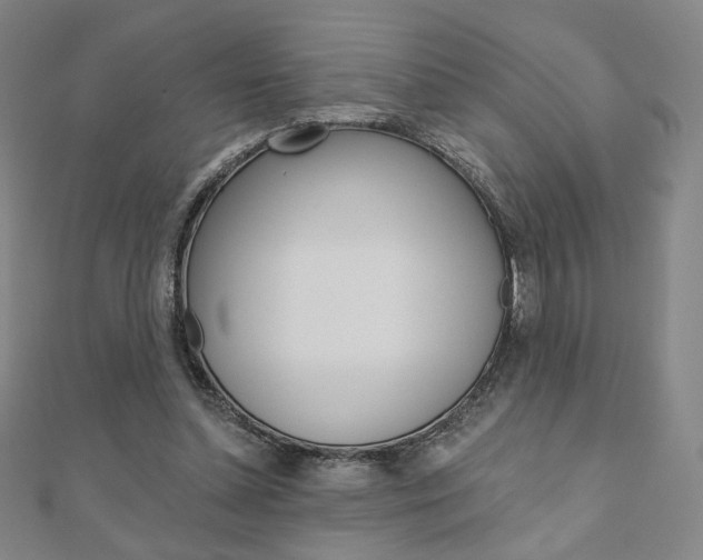 X0000110880348200906180949