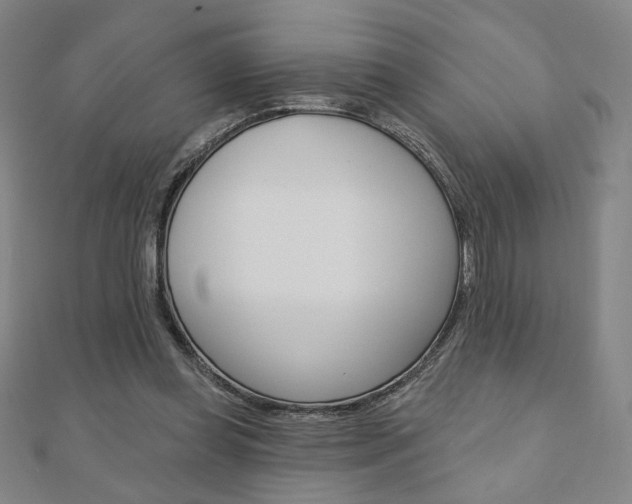 X0000110880349200906180949