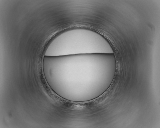 X0000110880352200906180950