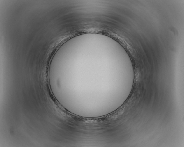 X0000110880353200906180950