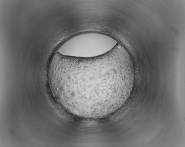 X0000110880354200906180950