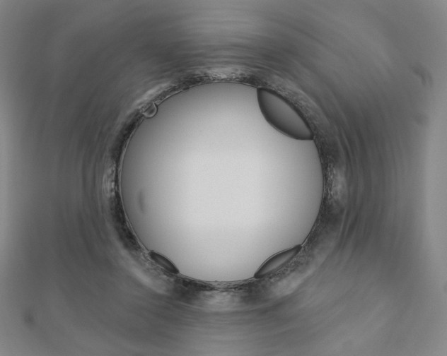 X0000110880356200906180950