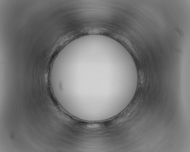 X0000110880357200906180950