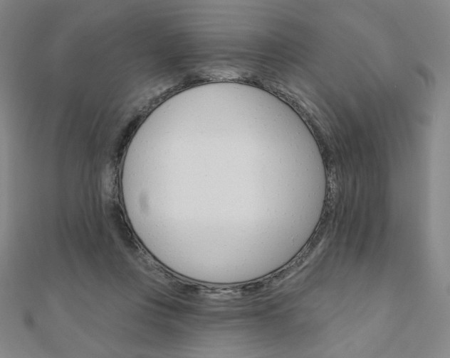 X0000110880359200906180950