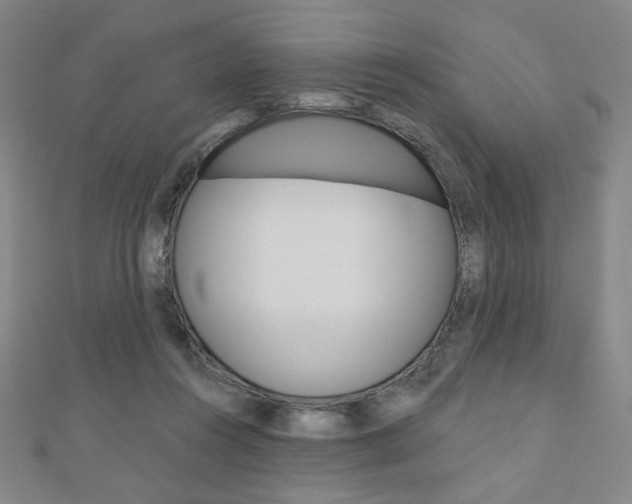 X0000110880360200906180950