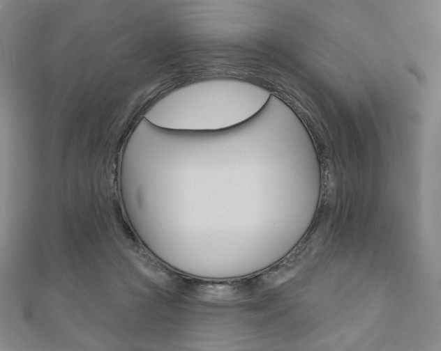 X0000110880361200906180950