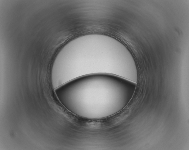 X0000110880362200906180950