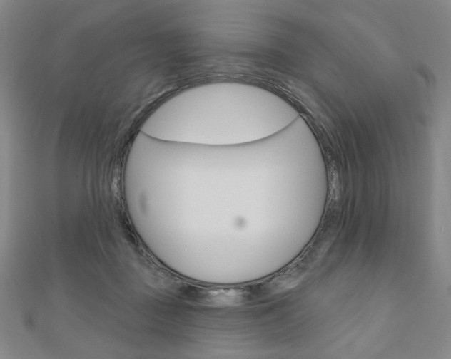 X0000110880363200906180950