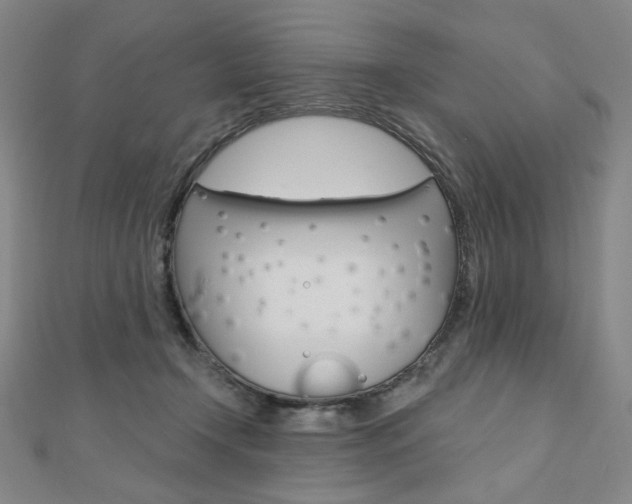 X0000110880366200906180950