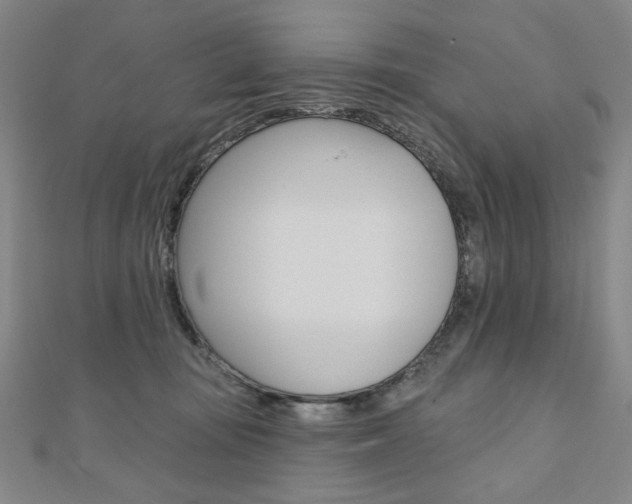 X0000110880371200906180950