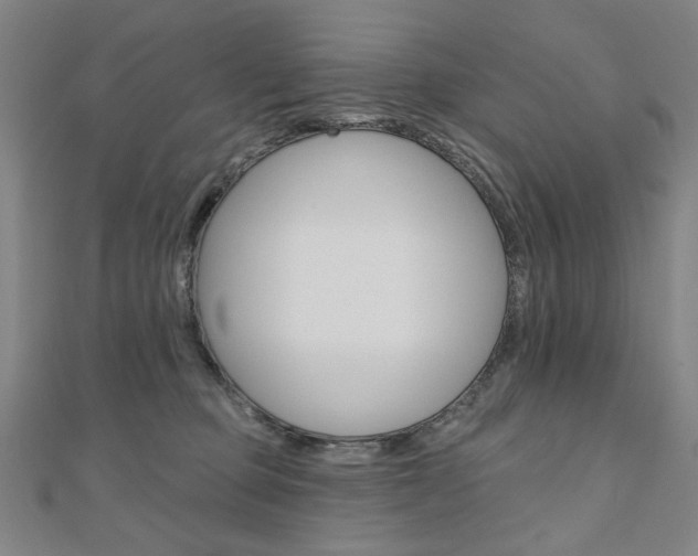 X0000110880373200906180950