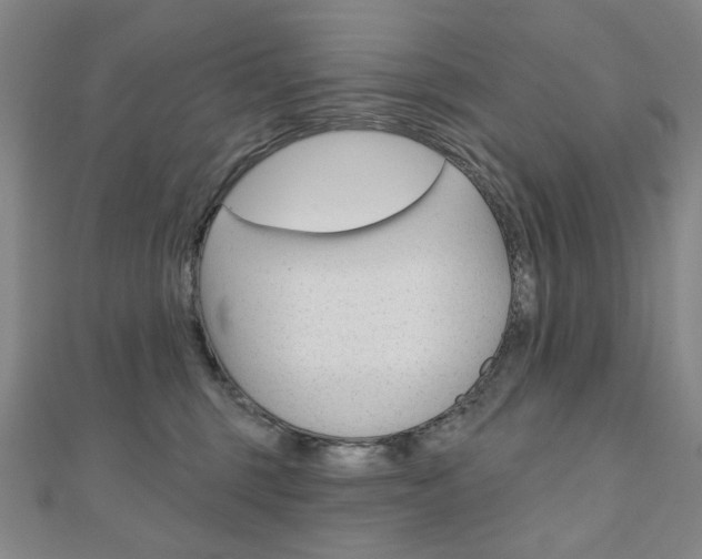 X0000110880375200906180950
