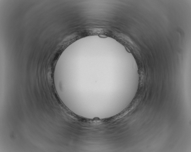 X0000110880377200906180950