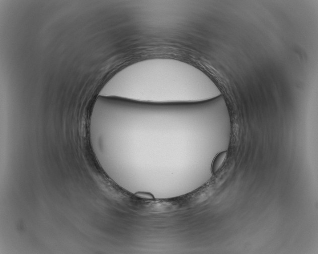 X0000110880379200906180950