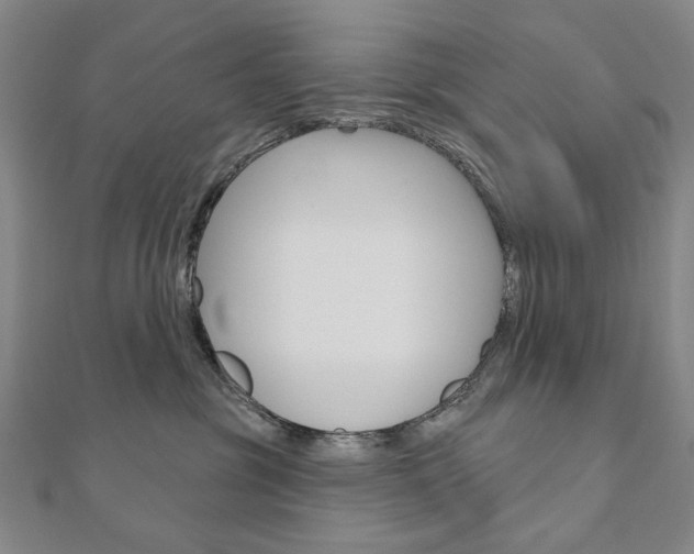 X0000110880381200906180950