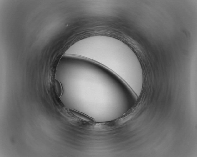 X0000110880382200906180950