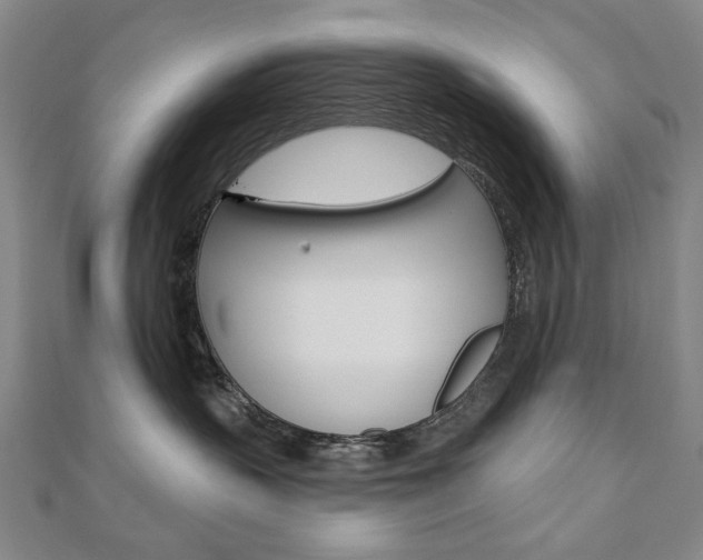 X0000110880383200906180950