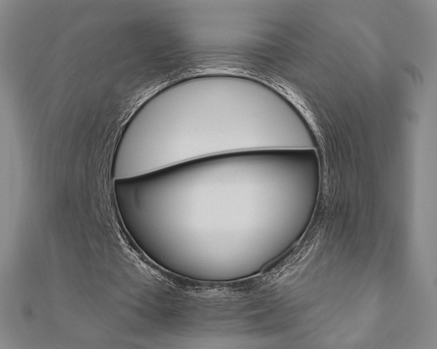 X0000110880385200906180949