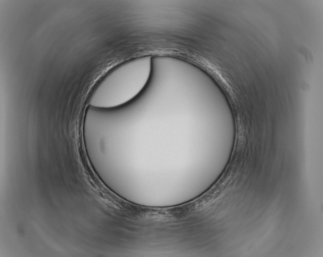X0000110880386200906180949