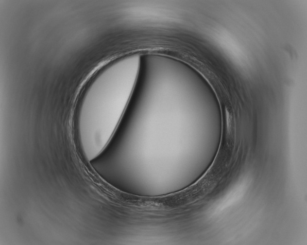 X0000110880387200906180949