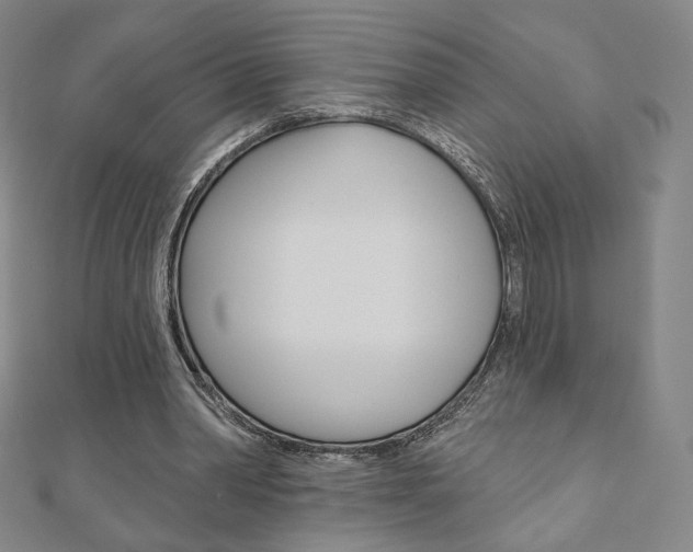X0000110880390200906180949