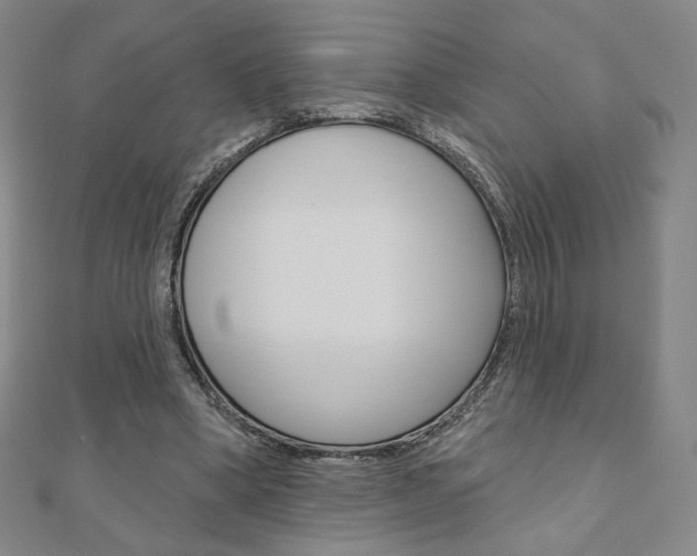 X0000110880394200906180949