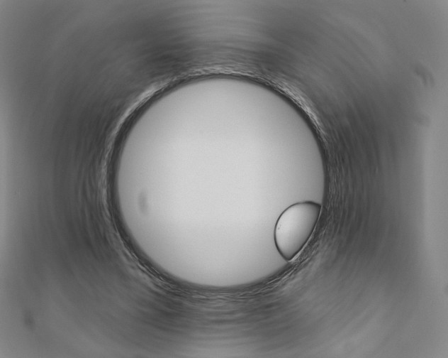 X0000110880395200906180949
