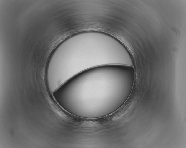 X0000110880397200906180949