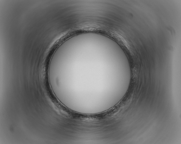 X0000110880400200906180949