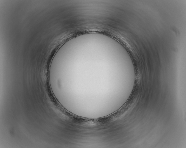 X0000110880402200906180949