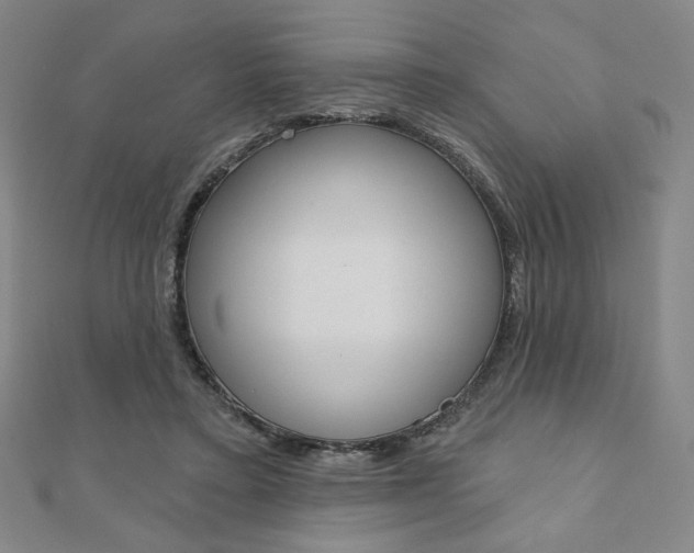X0000110880403200906180949