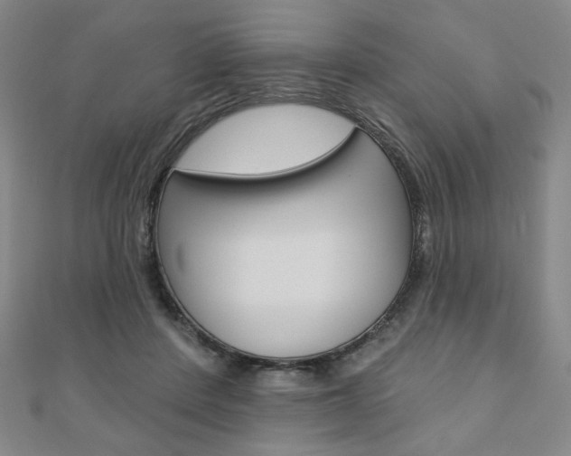 X0000110880408200906180949