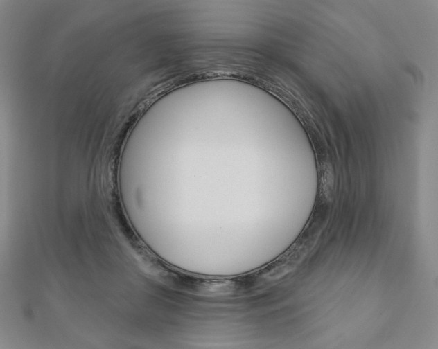 X0000110880410200906180949