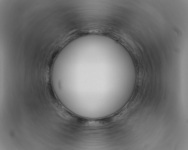 X0000110880413200906180949