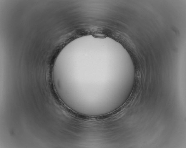 X0000110880416200906180949