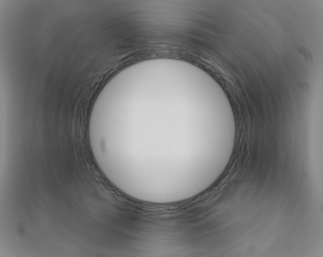 X0000110880417200906180949